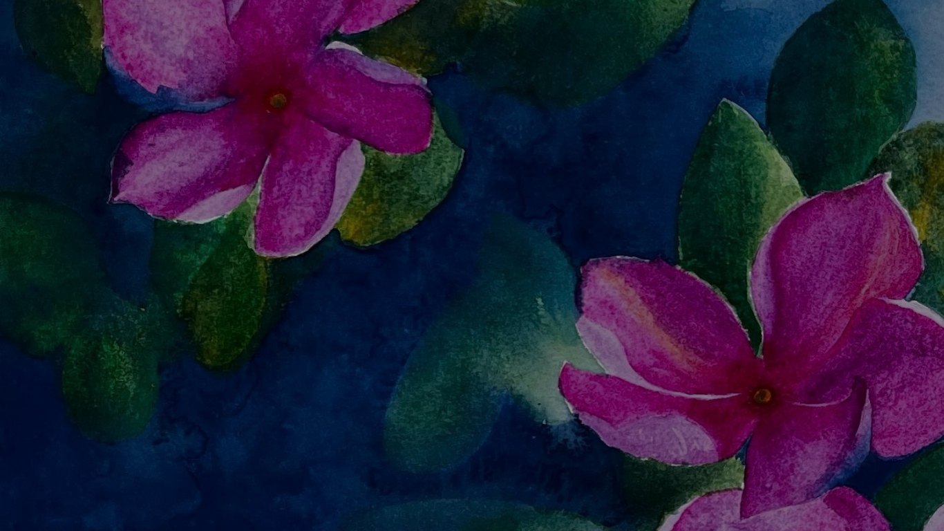 Artwork by Anuja Saxena