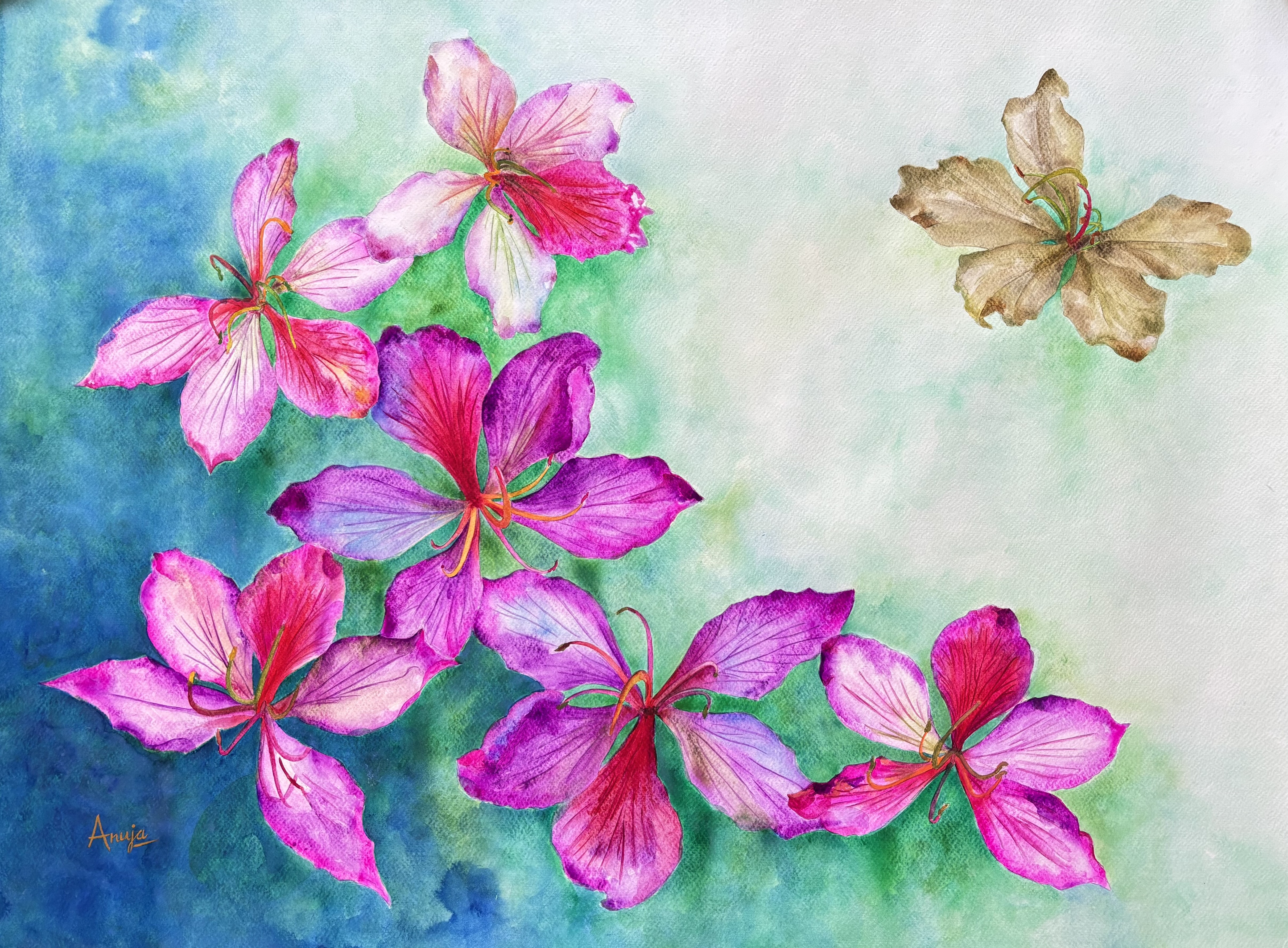 Whispers of Spring