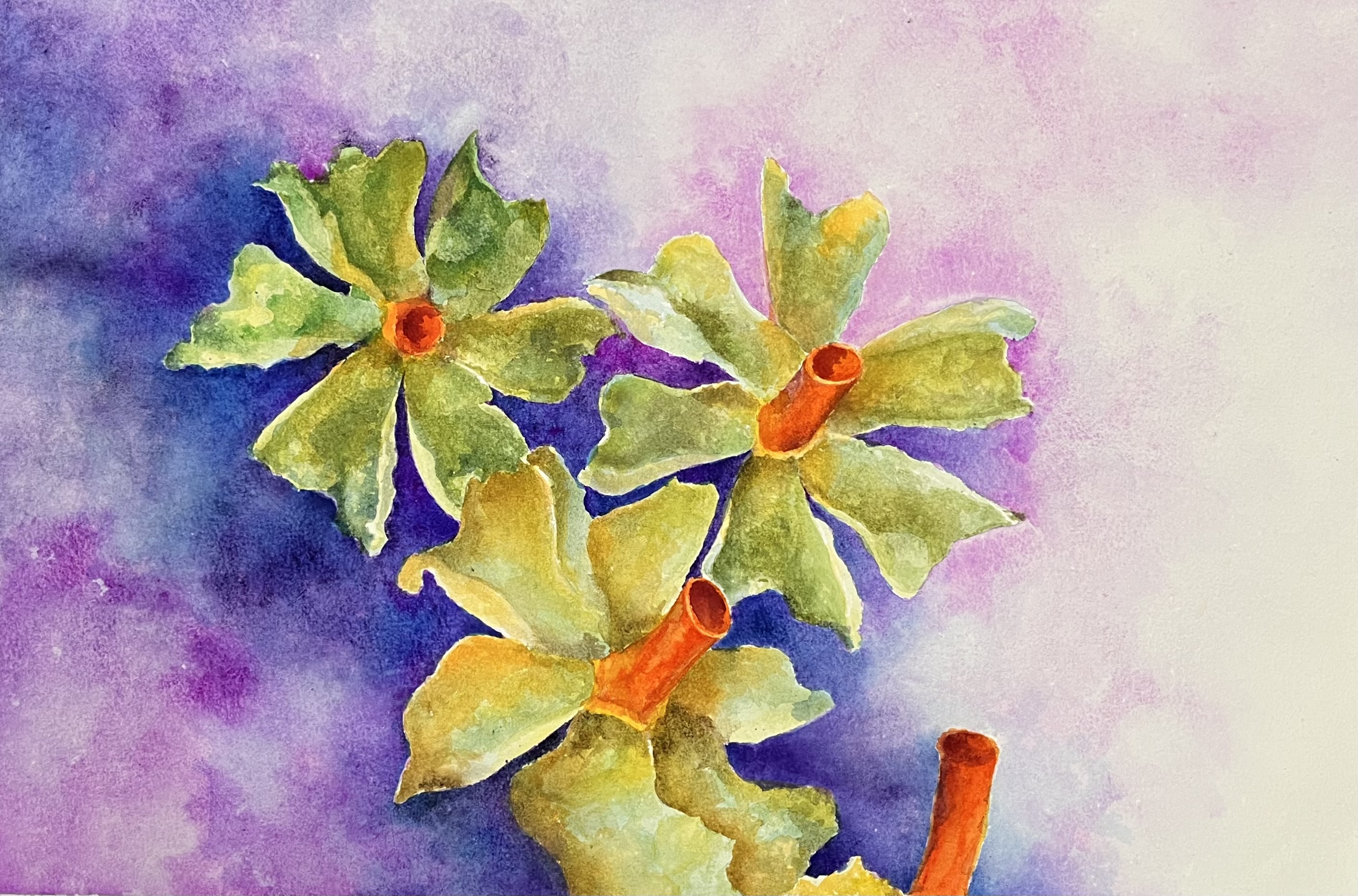 Parijat - Blossoms of Dawn