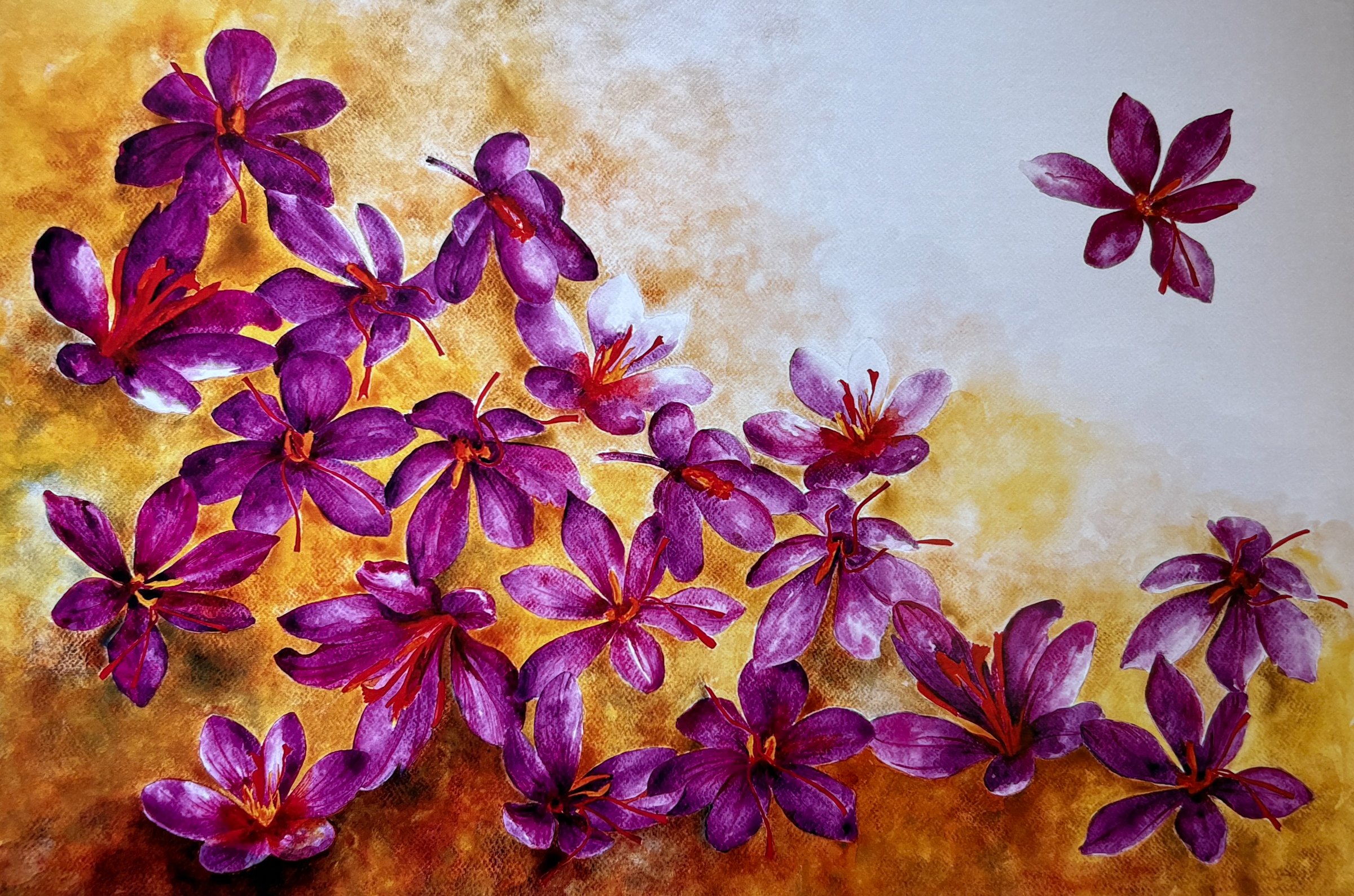 Saffron Dreamz - Fine Art Print
